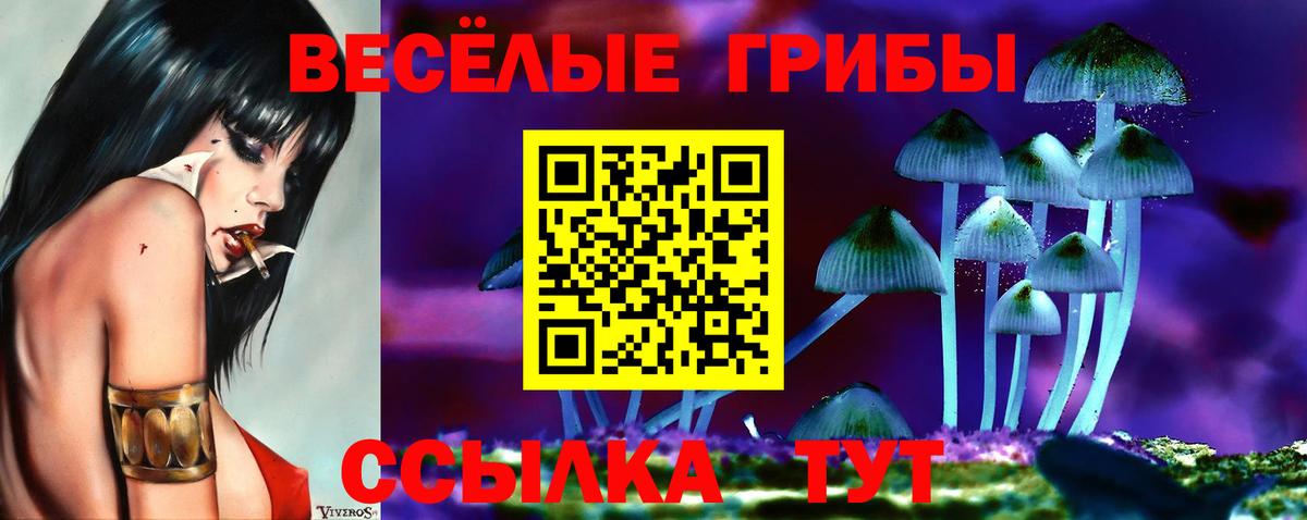 Галлюциногенные грибы прущие грибы  Галлюциногенные грибы прущие грибы  Вход с VPN  Серов 